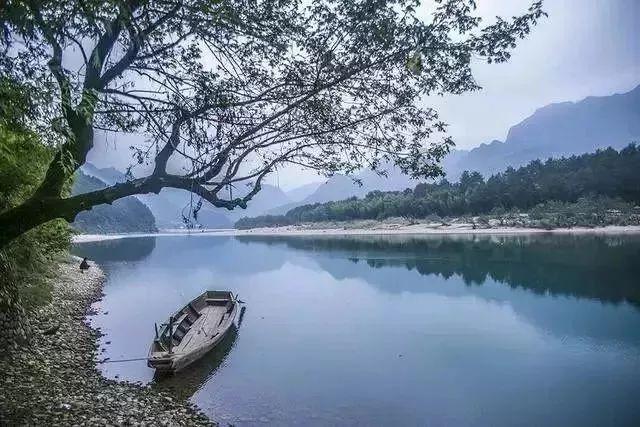荒岛枪训